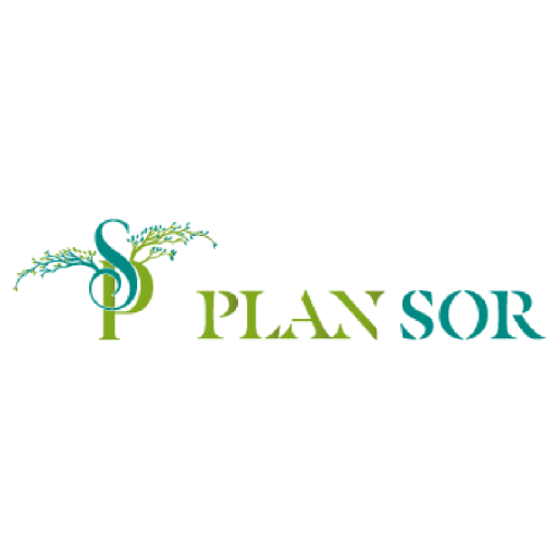 Plansor